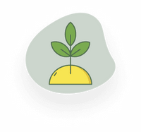 No prior knowledge required