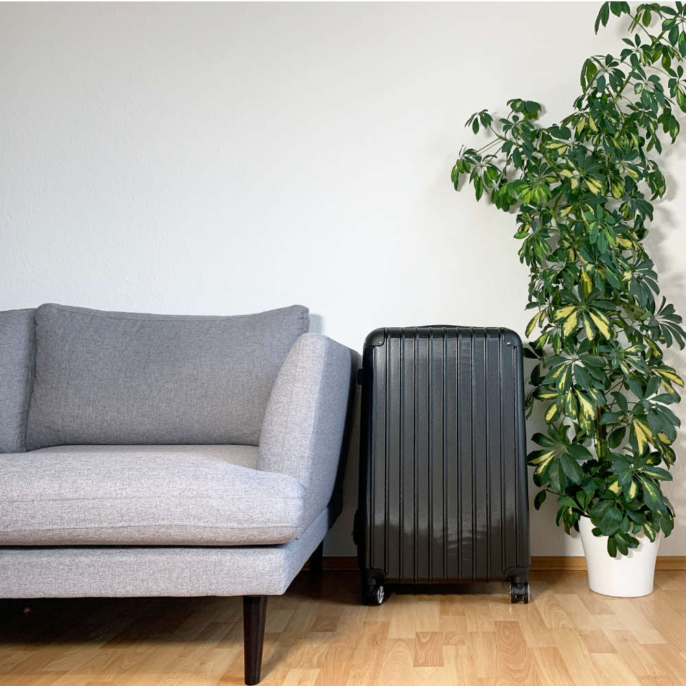 Bonsanto® NEO V 3.0 – Mini Indoor-Gartenkoffer L-Bonsanto