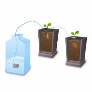 Automatische Growbox