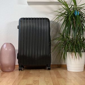 Die Bonsanto Mini Grow Box steht in einem Zimmer auf dem Boden zwischen einer Pflanze und einer Lampe.