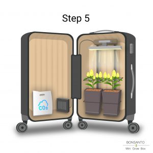 Step 5 - Scrog Grow Box