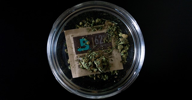 Cannabis fermentieren Boveda