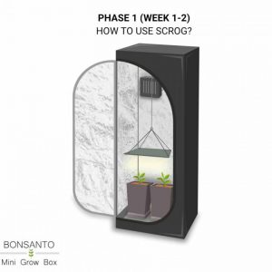 SCROG Grow Box