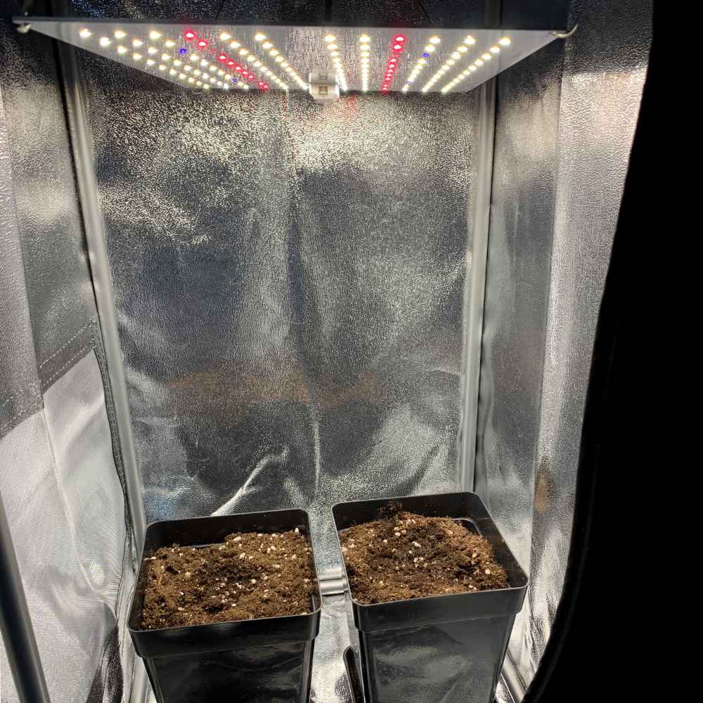 Best Grow Box – How to find the best growbox for your grow