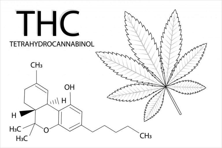 Hanf anbauen - THC