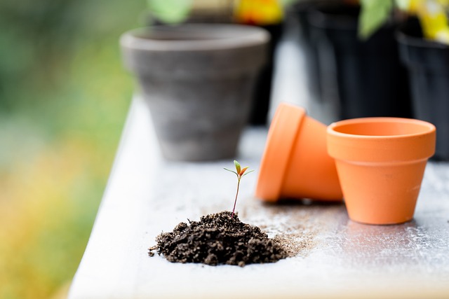 Cannabis Anbauen Balkon