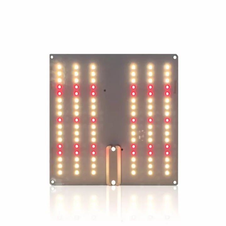 Indoor Anbau Licht - LED Bonsanto