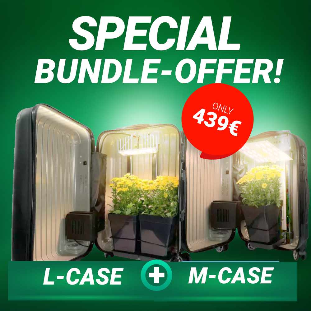 Special Bundle Offer _ Bonsanto®