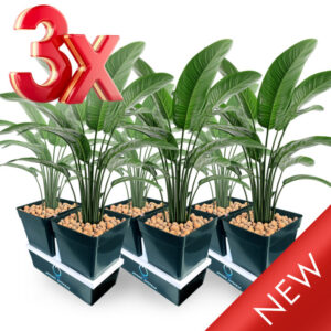 Hydrosystem Nutrientflow V3.0 - NEW 3PACK!! - Complete Set  - 2 x 3.2 Liters - Image 3