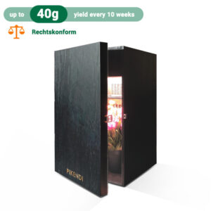 Pinkendi Box Black