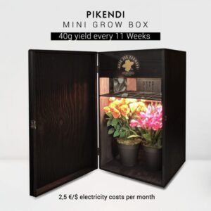 Pikendi Premium Black Mini Grow Box - Image 4