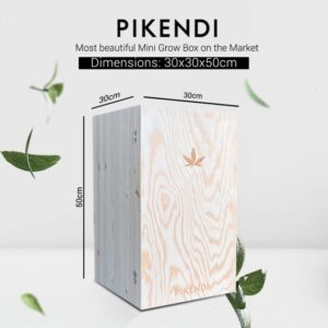 Pikendi Premium Nature Mini Grow Box - Image 4