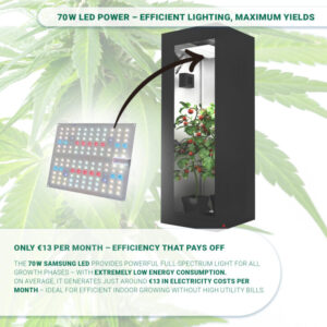Grow Tent Starter Kit – Compact All-in-One Set with LED, Filter & Soil - Image 4