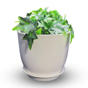 Premium Plant Pot 4.1 L with Saucer – perfectly fitting for Pikendibox